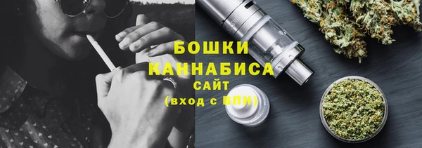 сатива Вяземский