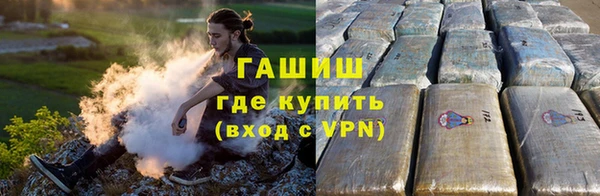 сатива Вяземский