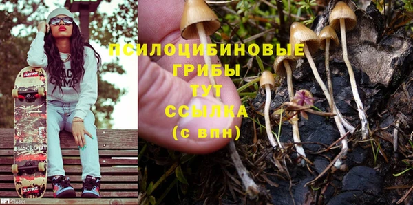 соль ск Вязники