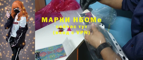 сатива Вяземский